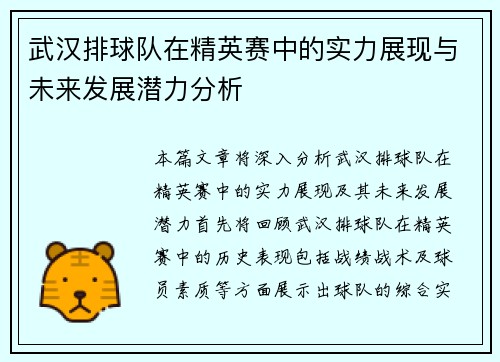 武汉排球队在精英赛中的实力展现与未来发展潜力分析