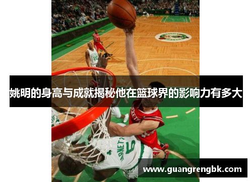 姚明的身高与成就揭秘他在篮球界的影响力有多大