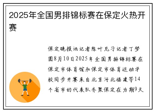 2025年全国男排锦标赛在保定火热开赛